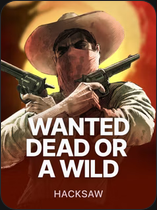Wanted Dead or a Wild